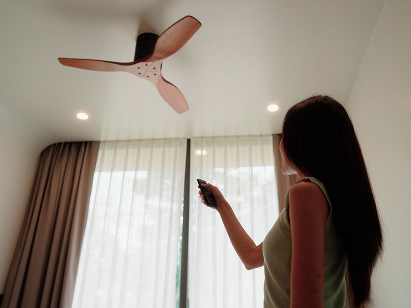 gallery_amber-2_4_1779290085.png